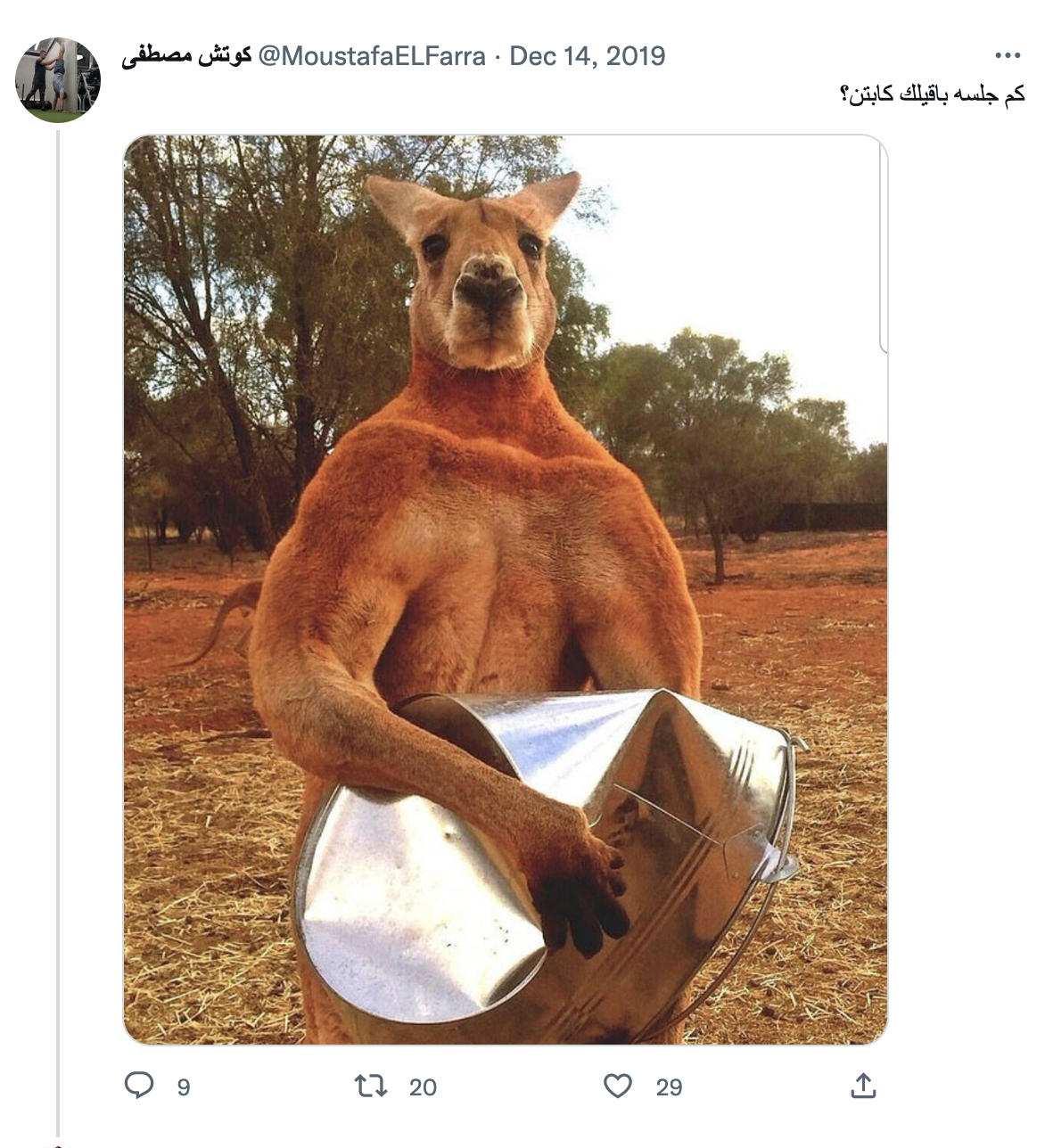 محمد صلاح نقي